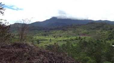 Yükselen tepeleri ve bulutlu gökyüzünün altındaki uzak dağlarıyla yemyeşil bir manzara..