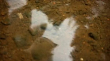 Çamurlu tabanı olan bir insanın soyut yansıması..