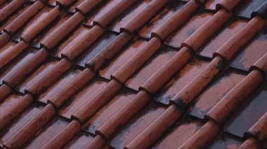 Islak terracotta çatı fayanslarının yakın görüntüsü, yağmurdan sonra dokularını ve renk değişimlerini gösterir.