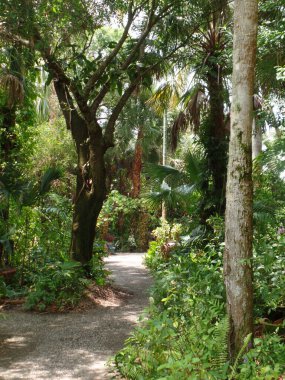 McKee Bahçelerinde bir patika