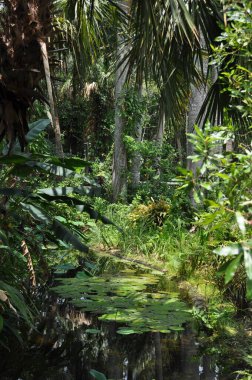 Bahçelerde bir gölet