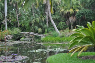 McKee Bahçelerinde Bir Köprü