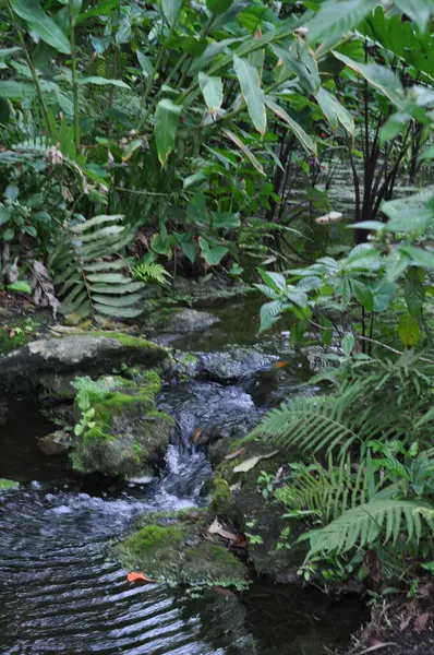 stock image Water Falling in the Pond