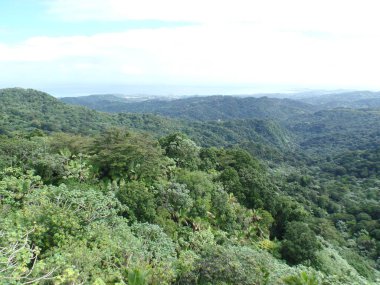 Yağmur ormanlarından San Juan 'a doğru bakıyorum.