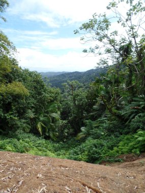 Aşağıya, vadiye bakıyor. 