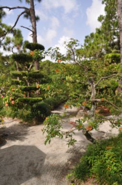 Güneşli bir yaz gününde, Boynton Beach Florida 'daki Morikami Japon Botanik Bahçeleri' nde mavi gökyüzü ve bulutlarla birlikte yürüyüş yolu boyunca manzara.