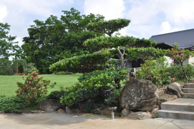 Güneşli bir yaz gününde, Boynton Beach Florida 'daki Morikami Japon Bahçeleri' nin yürüyüş yolundan kayalar ve ağaçlarla süslü bir manzara. Mavi gökyüzü ve bulutlarla kaplı..
