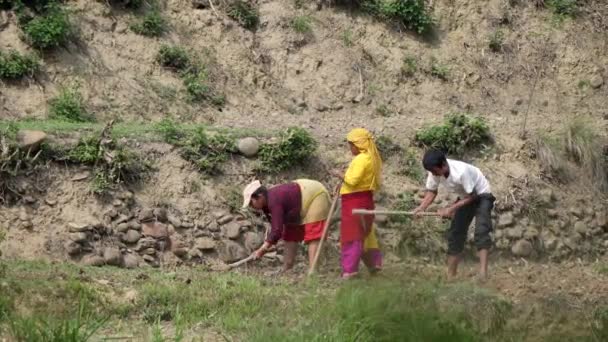 Kathmandu Nepal Mei 2023 Sommige Mensen Werken Een Terrasvormige Heuvel — Stockvideo