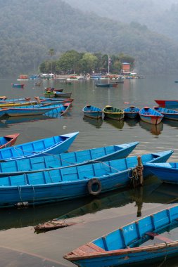 Pokhara, Nepal 'deki Fewa Gölü' nde bir grup renkli ahşap tekne..
