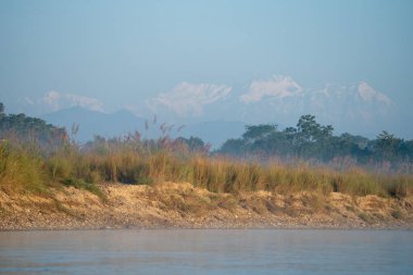 Nepal 'in düzlüklerindeki bir nehirden Himalaya Dağları manzarası.