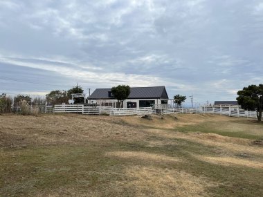 Jeju Adası 'nda güzel bir ev.