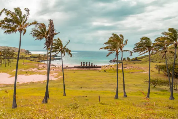Paskalya Adası Rapa Nui Anakena plajı Moai ve açık okyanus öncesi palmiye ağaçları.