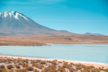 Bolivya 'daki Kokulu Göl' de, Uyuni yakınlarında bol flamingolu bir tuz yatağı. Dağlı ve arkalı yüksek kaliteli manzara fotoğrafı Laguna Chiar Khota veya Laguna Negra 'dır..