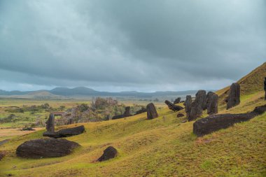 Paskalya Adası 'ndaki Moai fabrikası ya da Moai heykellerinin oyulduğu yer olan Rapa Nui. Çok yeşil.