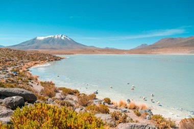 Bolivya 'daki Kokulu Göl' de, Uyuni yakınlarında bol flamingolu bir tuz yatağı. Dağlı ve arkalı yüksek kaliteli manzara fotoğrafı Laguna Chiar Khota veya Laguna Negra 'dır..