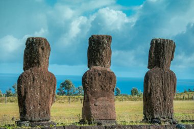 Paskalya Adası heykelleri ya da Moai 'nin sırtlarını göstermesi. Şili 'de Rapa Nui olarak da bilinir. Yüksek kalite fotoğraf