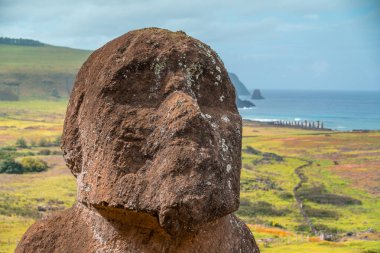 Paskalya Adası 'ndaki Moai fabrikası ya da Moai heykellerinin oyulduğu yer olan Rapa Nui. Çok yeşil.
