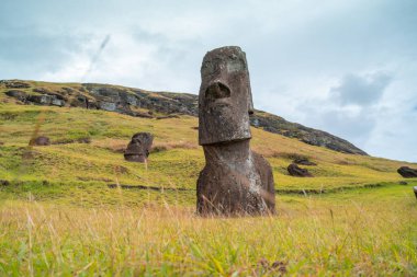 Paskalya Adası 'ndaki Moai fabrikası ya da Moai heykellerinin oyulduğu yer olan Rapa Nui. Çok yeşil.