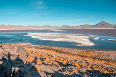 Bolivya 'da Laguna Colorada, Uyuni yakınlarında ve Şili sınırına yakın. Bolivya yüksek irtifada renkli gölün yüksek kaliteli fotoğrafı.