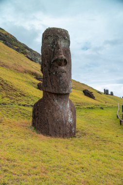 Paskalya Adası 'ndaki Moai fabrikası ya da Moai heykellerinin oyulduğu yer olan Rapa Nui. Çok yeşil.