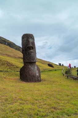 Paskalya Adası 'ndaki Moai fabrikası ya da Moai heykellerinin oyulduğu yer olan Rapa Nui. Çok yeşil.