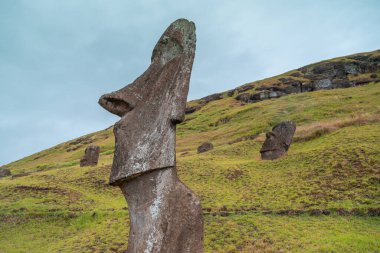 Paskalya Adası 'ndaki Moai fabrikası ya da Moai heykellerinin oyulduğu yer olan Rapa Nui. Çok yeşil.