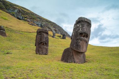 Moai factory on Easter Island or Rapa Nui: the place where they carved the Moai sculptures. Very green. clipart
