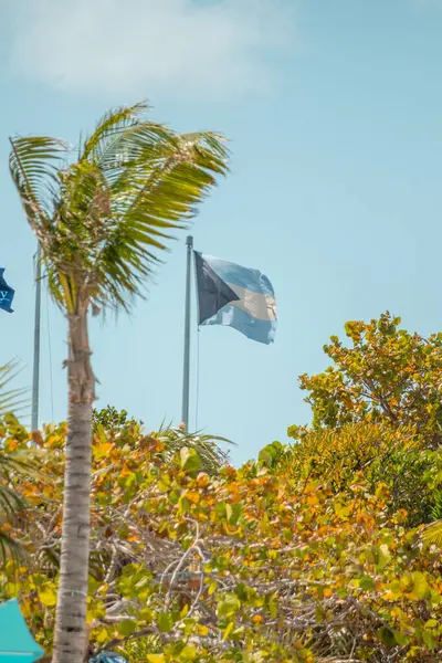 Yarım Ay, Bahamalar 'ın özel adası Karayipler. Yüksek kalite fotoğraf