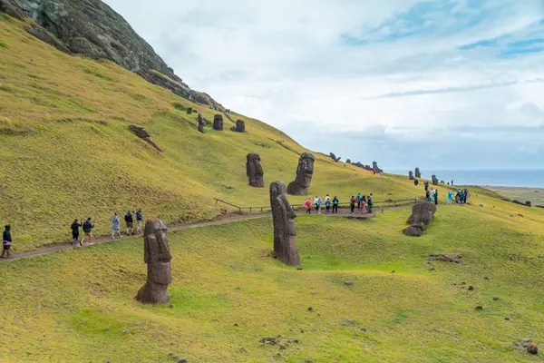 Paskalya Adası 'ndaki Moai fabrikası ya da Moai heykellerinin oyulduğu yer olan Rapa Nui. Çok yeşil.