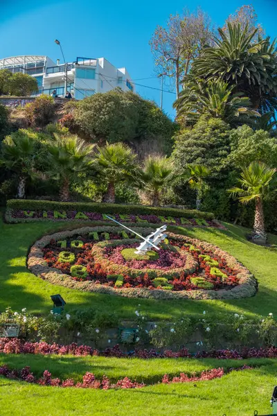 Çiçekli saat veya Vina del Mar, Şili 'deki Reloj de Flores - Parktaki çok yeşil alan..
