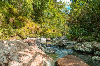 Mauritius 'taki Kara Nehir Vadisi Ulusal Parkı Mauritius' un tek ulusal parkıdır..