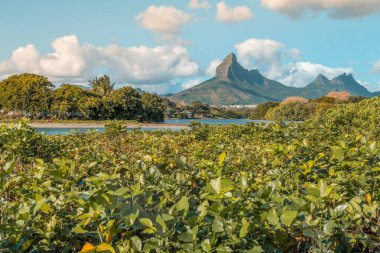 Mauritius, Afrika 'daki Tamarin plajı. Yüksek kalite fotoğraf
