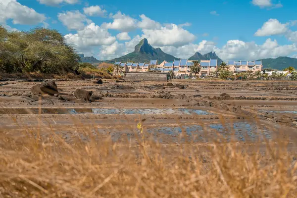 Mauritius 'taki Salines de Yemen Tamarin' den görüntü. Yüksek kalite fotoğraf