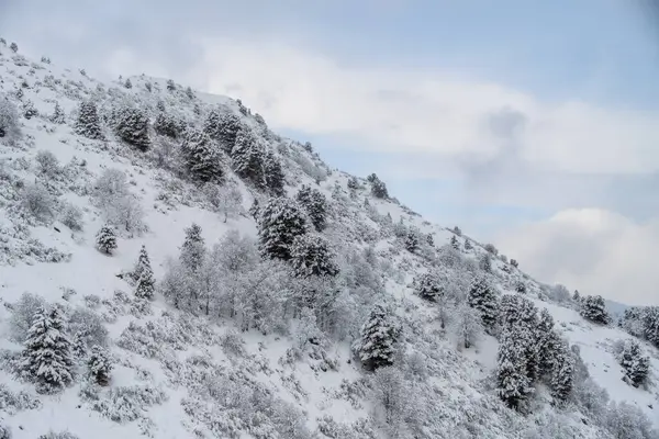 Meribel - Fransa 'nın Fransız Alplerinde kayak bölgesi. Kış sporları