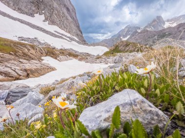 Fransa Alpleri 'ndeki Vanoise Ulusal Parkı' nda Pointe de la Rechasse 'a yürüyüş. Yüksek kalite fotoğraf