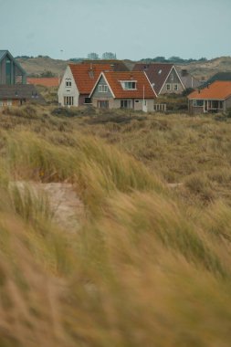Wadden Denizi 'ndeki Terschelling Adası - Hollanda ya da Hollanda. Yüksek kalite fotoğraf