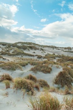 Wadden Denizi 'ndeki Terschelling Adası - Hollanda ya da Hollanda. Yüksek kalite fotoğraf