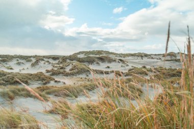 Wadden Denizi 'ndeki Terschelling Adası - Hollanda ya da Hollanda. Yüksek kalite fotoğraf