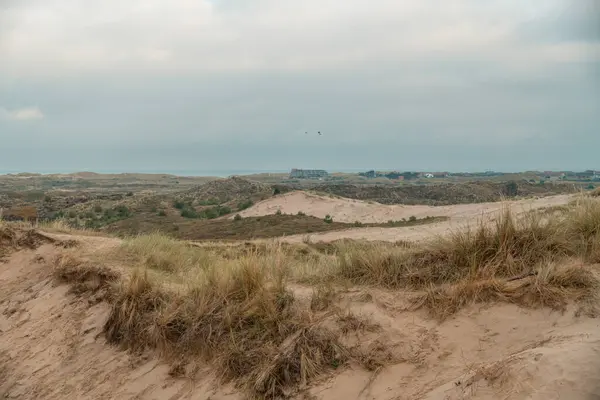 Wadden Denizi 'ndeki Terschelling Adası - Hollanda ya da Hollanda. Yüksek kalite fotoğraf