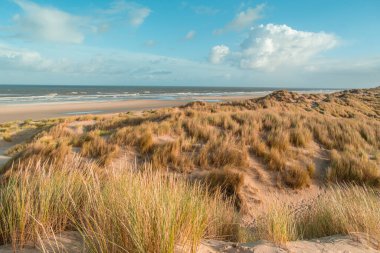 Wadden Denizi 'ndeki Terschelling Adası - Hollanda ya da Hollanda. Yüksek kalite fotoğraf