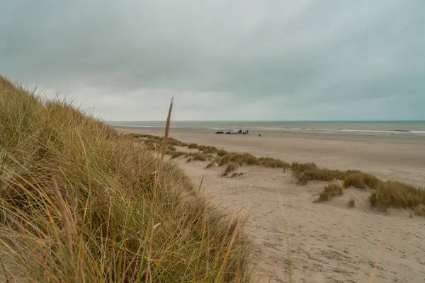 Wadden Denizi 'ndeki Terschelling Adası - Hollanda ya da Hollanda. Yüksek kalite fotoğraf