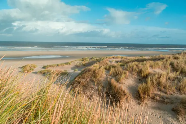 Wadden Denizi 'ndeki Terschelling Adası - Hollanda ya da Hollanda. Yüksek kalite fotoğraf