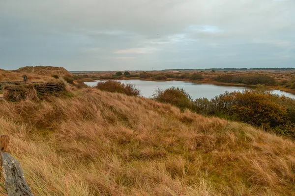 Wadden Denizi 'ndeki Terschelling Adası - Hollanda ya da Hollanda. Yüksek kalite fotoğraf