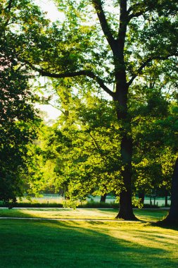 Prag 'da Kraliyet Oyun Koruması 