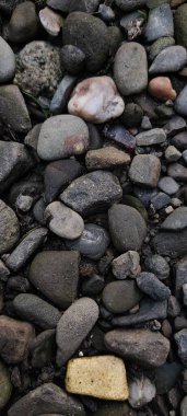 Küçük bir dağ nehrinin yanında dinlenirken ıslak, pürüzsüz nehir taşlarının fotoğrafı çekildi.