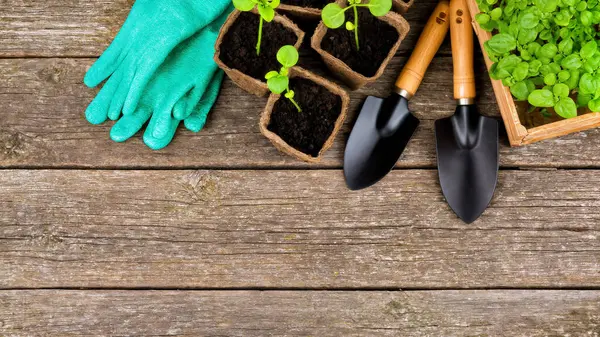 Ahşap masa arkasında bahçe işleri için aletler. Üst Manzara. Yüksek kalite fotoğraf