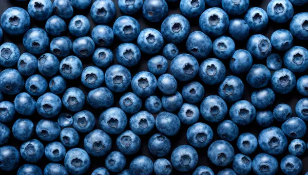 Parlak yaban mersinlerinin arka planında tüm ekranı kaplayan üst manzarası var. Yüksek kalite fotoğraf