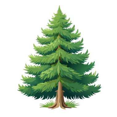 Çam ağacı vektör sanat çizimi tasarımı