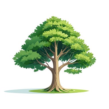 Çam ağacı vektör sanat çizimi tasarımı