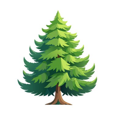 Çam ağacı vektör sanat çizimi tasarımı
